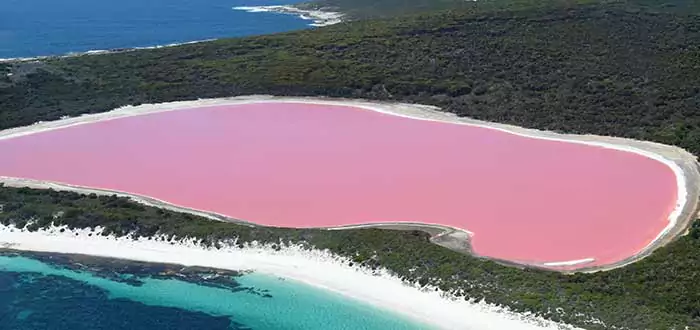 ¡Hay un lago de color rosa!