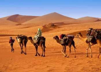 Curiosidades de Marruecos que te sorprenderán