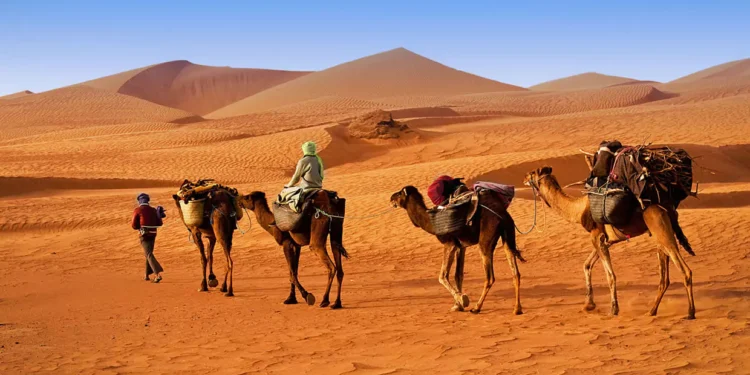 Curiosidades de Marruecos que te sorprenderán