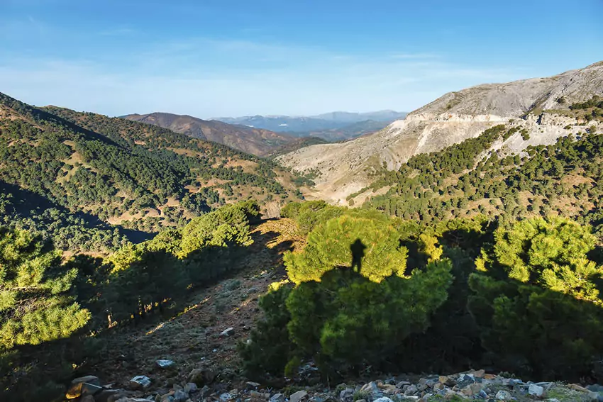 Parques Nacionales de España: Parque Nacional de la Sierra de las Nieves