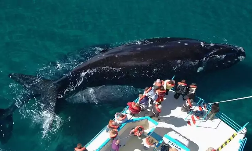 Península Valdés (Chubut)