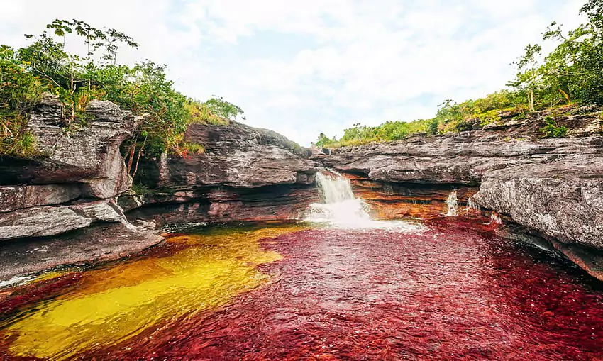 Caño Cristales, uno de los sitios más espectaculares que ver en Colombia