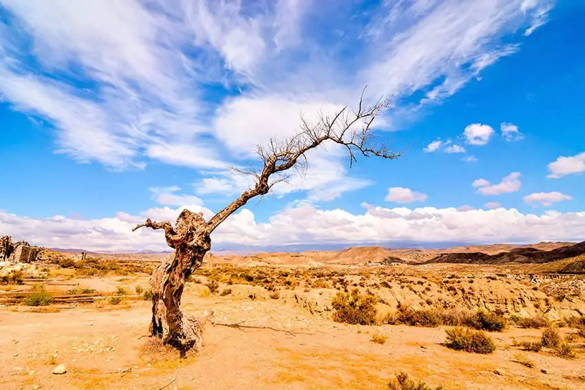 El desierto de Tabernas