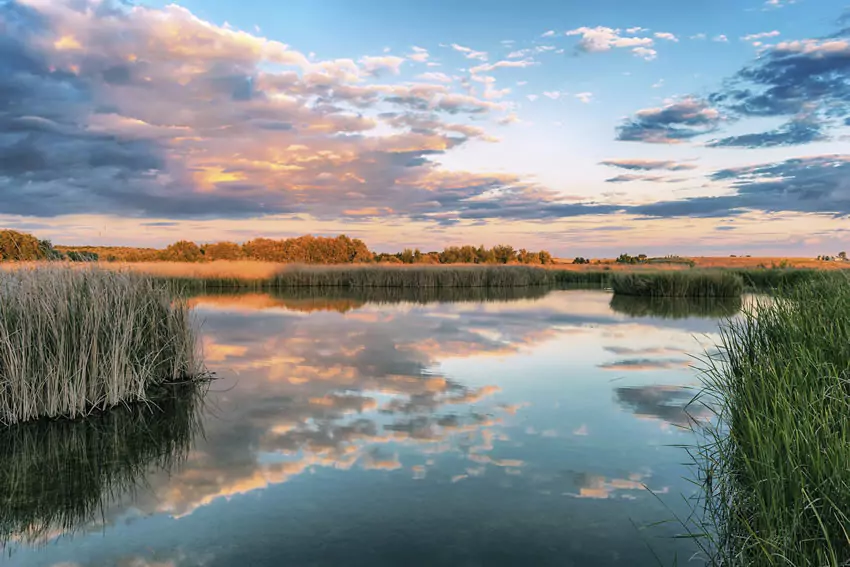 Parque Nacional de las Tablas de Daimiel