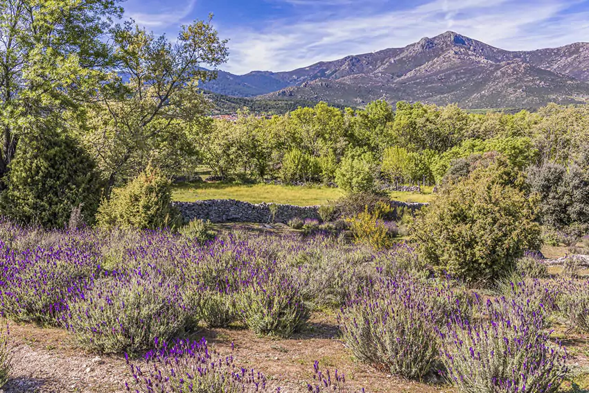 Parque Nacional de la Sierra de Guadarrama