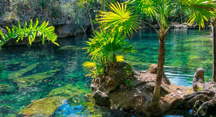 Cenotes, un fenómeno natural fascinante