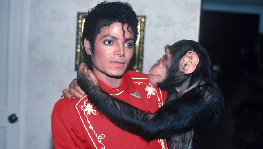 La mascota de Jackson