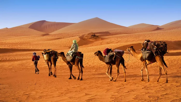 Curiosidades de Marruecos que te sorprenderán