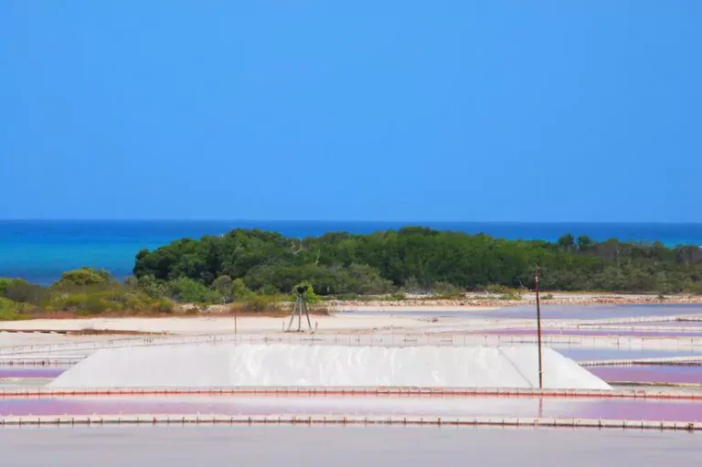 Curiosidades de Puerto Rico:  Tiene aguas rosadas y salinas