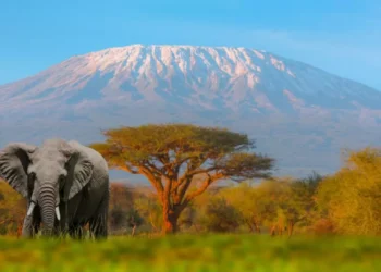 Estas son las montañas más altas de África
