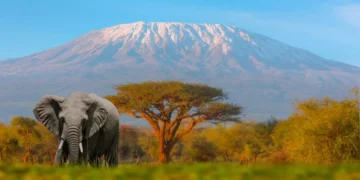 Estas son las montañas más altas de África