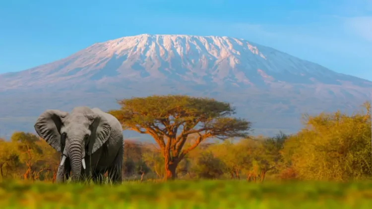 Estas son las montañas más altas de África