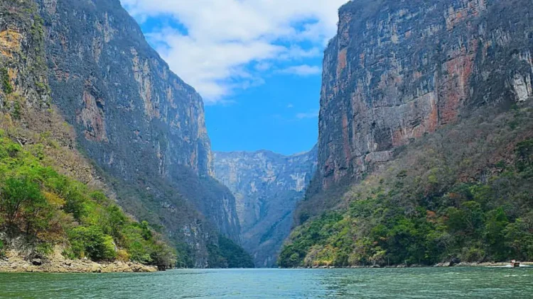 Estos son los ríos más grandes de México
