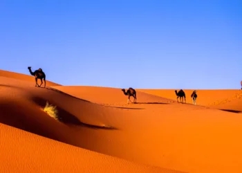 Estos son los desiertos más grandes del mudo