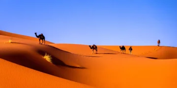 Estos son los desiertos más grandes del mudo