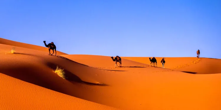 Estos son los desiertos más grandes del mudo