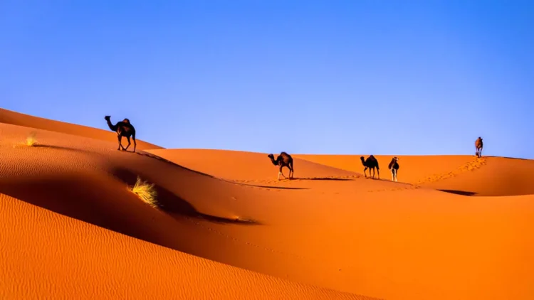 Estos son los desiertos más grandes del mudo