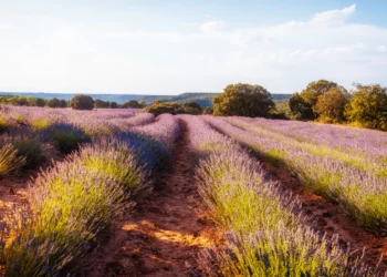Qué ver cerca de Madrid: lugares interesantes
