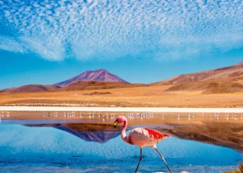 Lugares increíbles que ver en Chile