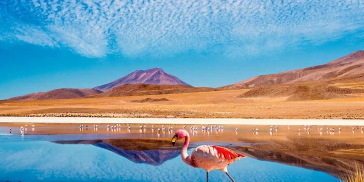 Lugares increíbles que ver en Chile