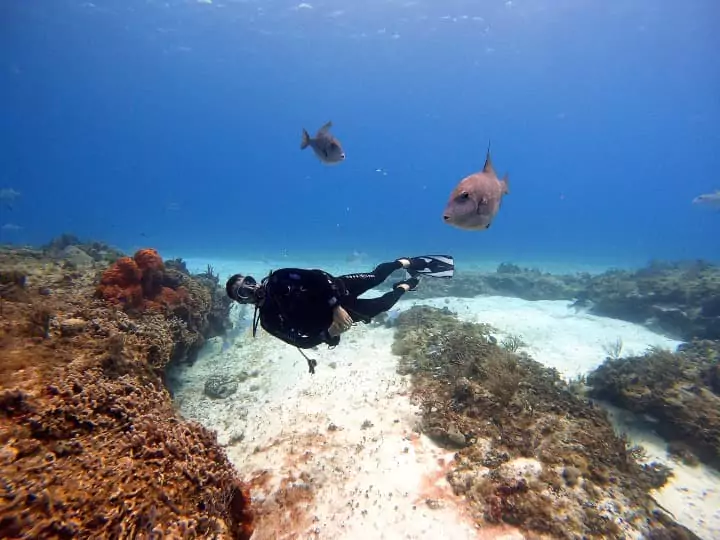 Isla Cozumel