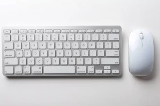 ¿Qué son los dispositivos de entrada? Cuáles son y ejemplos