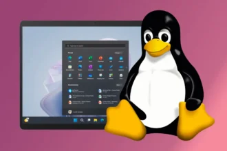 ¿Qué es el software libre? Características, tipos y ejemplos