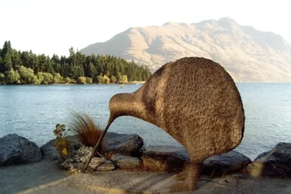 Curiosidades de Nueva Zelanda que te sorprenderán