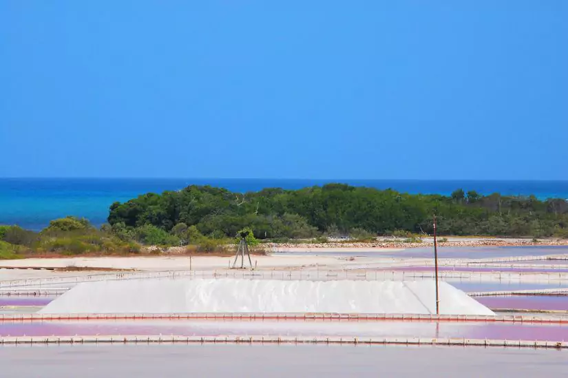 Curiosidades de Puerto Rico: Tiene aguas rosadas y salinas
