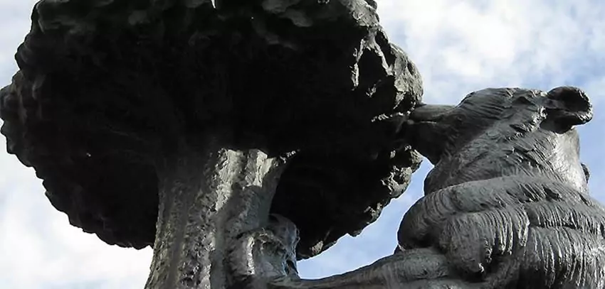 El oso y el madroño salen de una pelea