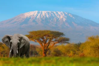 Las 6 montañas más altas de África