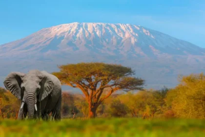 Las 6 montañas más altas de África