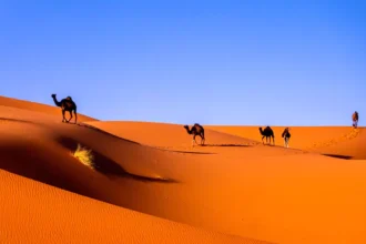 Los 10 desiertos más grandes del mundo
