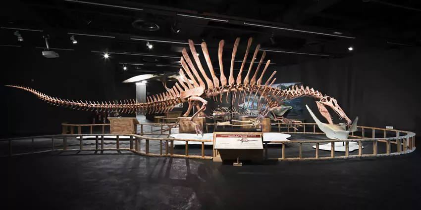 Museo de Ciencias Naturales de Barcelona
