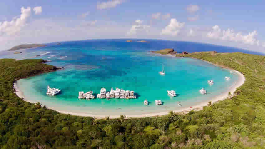 ¿Sabías que en Puerto Rico hay playas con bioluminiscencia?