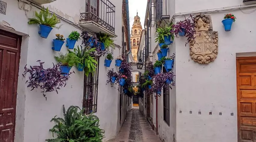 Calleja de las Flores