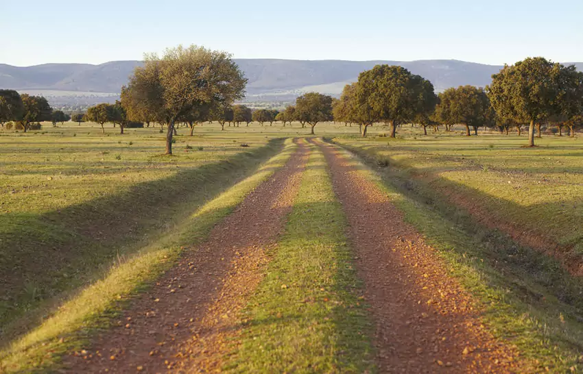 Parque Nacional de Cabañeros