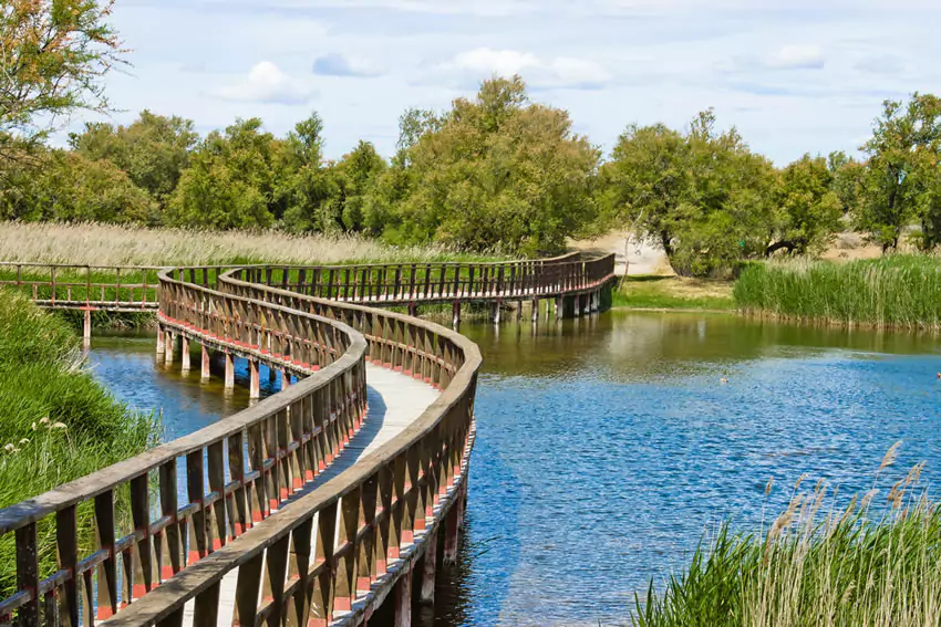 Qué ver cerca de Madrid: Parque Nacional de las Tablas de Daimiel (Ciudad Real)