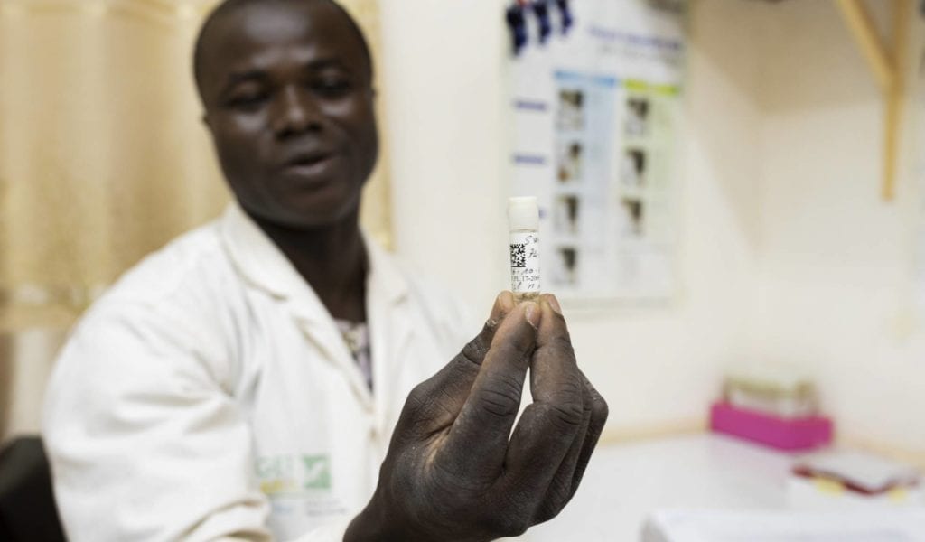 Un grupo de investigadores pone fecha para el fin de la malaria