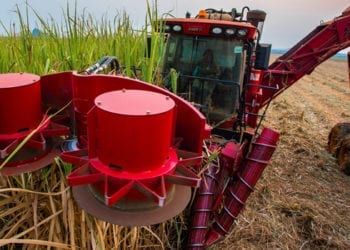 Angola: Banco Mundial y AFD inyectarán $ 230 millones en el sector agroalimentario.