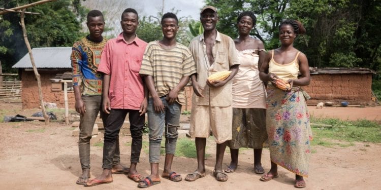 De los pesticidas al cultivo ‘bio’: Togo apuesta por el cacao ecológico