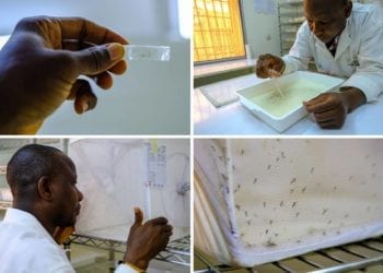Mecanismos para luchar contra la malaria