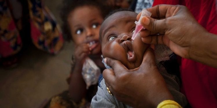 La OMS declara África libre de poliomielitis