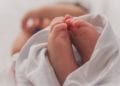 Primer buzón para abandonar bebés en Bélgica