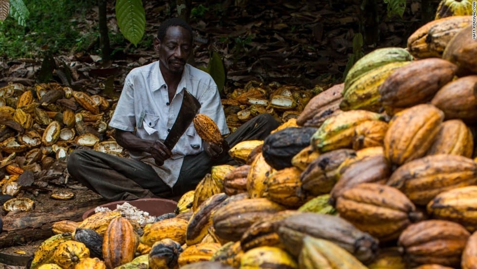 INPAGE informe sobre la exportación de más de 200 mil kg de cacao al mercado internacional