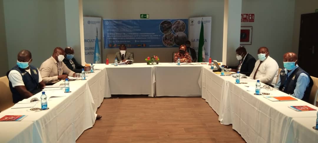 Comienza la 13ª Reunión multidisciplinaria de FAO en la región de África Central