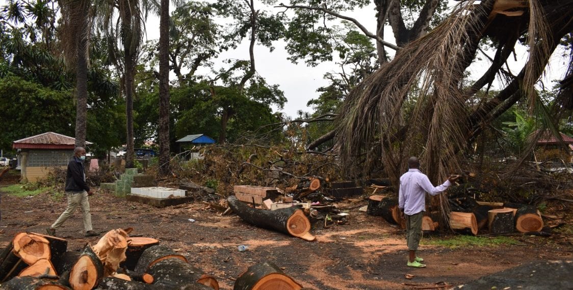 Dos árboles se desploman y destruyen varias tumbas en el cementerio de Ela Nguema