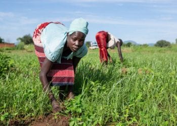 Perspectivas económicas en África: se prevé una recuperación del crecimiento del 3,4% en 2021 (38,7 millones de personas en riesgo de pobreza extrema