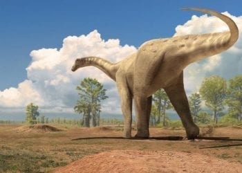 Descubren en la Patagonia el titanosaurio más antiguo del mundo
