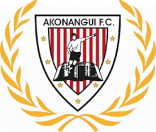 Futuro Kings y Akonangui FC vuelven a representar a Guinea Ecuatorial en competiciones internacionales